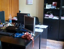 For rent Business Office - Sofia, Geo Milev