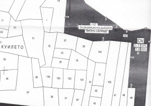 plot - Batak, Kuileto village