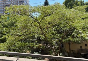 Двустаен апартамент - София, Красно село жк Красно село