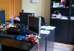 Офис - София, Гео Милев ул. Александър фон Хумболт