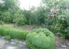 Парцел - София, Бояна ул.Кумата